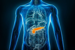 Identificada una mol&eacute;cula que protege al p&aacute;ncreas de la toxicidad asociada a la diabetes tipo 2