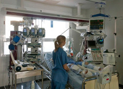 Identifican un nuevo tipo de c&eacute;lula que hace que los supervivientes de la sepsis sean m&aacute;s susceptibles a las infecciones
