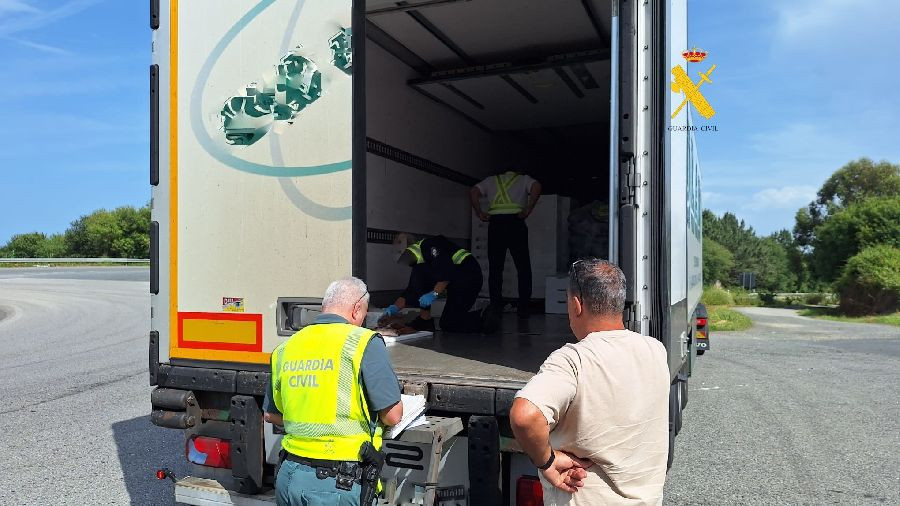  Intervienen en Foz (Lugo) 36 kilos de besugo que no alcanzaba la talla m&iacute;nima en un cami&oacute;n que iba a Santander