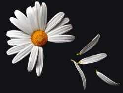 La abstenci&oacute;n y la indecisi&oacute;n