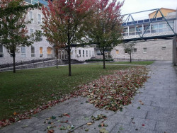 La Audiencia juzga a una mujer que llevaba 18 envoltorios con 7 gramos de coca&iacute;na