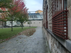 La Audiencia juzga hoy a una pareja por robar 66.500 euros al hombre que les dej&oacute; vivir en su casa