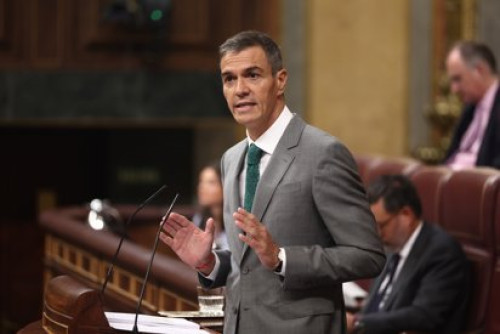 La desverg&uuml;enza.         Carlos Magdalena