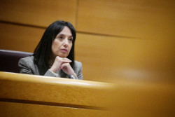 La directora de la Guardia Civil no comparecer&aacute; este jueves en el Senado