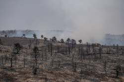 La evoluci&oacute;n del incendio de Ejulve permite que los evacuados vuelvan a sus casas y que retira la UME