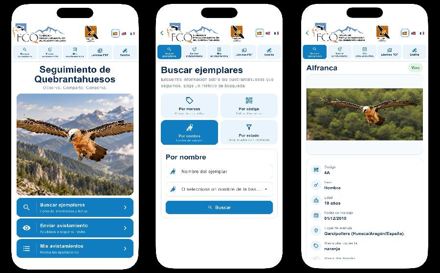La Fundaci&oacute;n para la Conservaci&oacute;n del Quebrantahuesos lanza una aplicaci&oacute;n m&oacute;vil para el seguimiento de ejemplares
