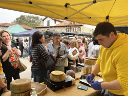 La III Feria del Queso de Liérganes reunirá a 20 queserías artesanas el 5 y 6 de abril