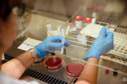  La industria farmac&eacute;utica asegura que trabaja "a pleno rendimiento" pese al coronavirus