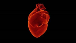 La insuficiencia card&iacute;aca se asocia a un mayor riesgo de c&aacute;ncer