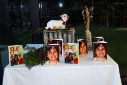 La lucha contra el c&aacute;ncer.       Por Carlos Magdalena