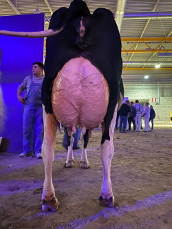 La más guapa de todas Por Pedro Arce