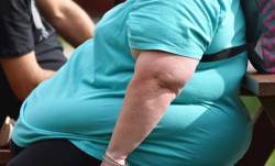 La obesidad deteriora la funci&oacute;n de las c&eacute;lulas inmunes y acelera el crecimiento tumoral