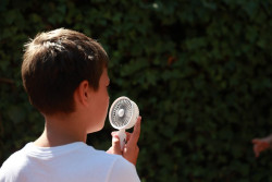 La ola de calor durar&aacute; hasta el viernes, con m&aacute;ximas de 42&ordm;C en el sur y noches t&oacute;rridas en Mediterr&aacute;neo e interior