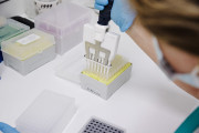 La OMS eleva a seis los casos confirmados de hantavirus el positivo de un contagio sospechoso