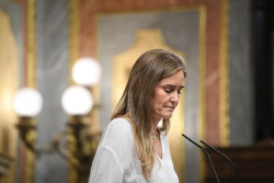 La oposición tumba el decreto antiapagones de Sanchez con los votos de PP, Vox, Podemos, BNG y Junts