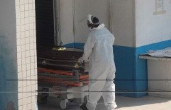 La pandemia de coronavirus deja m&aacute;s de 391.000 muertos y 6,6 millones de casos en todo el mundo