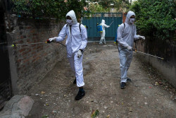 La pandemia de coronavirus se acerca al mill&oacute;n de contagios tras causar m&aacute;s de 47.000 muertos