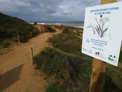 La senda costera de la Punta de la Mesa de Noja protagoniza una nueva ruta de SEO/BirdLife