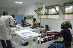 La vacuna contra la malaria es la primera en alcanzar el objetivo de eficacia del 75% especificado por la OMS