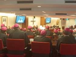 Le&oacute;n XIV pide a obispos espa&ntilde;oles responder a la "plaga" de los abusos con escucha, verdad, justicia y reparaci&oacute;n