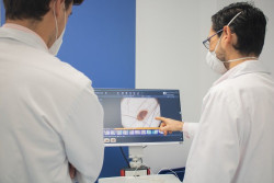 Los antibi&oacute;ticos pueden ayudar a tratar el melanoma, seg&uacute;n un nuevo estudio
