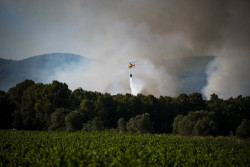 Los Bombers dan por controlado el incendio en Pla de Manlleu (Tarragona)