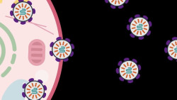 Los cient&iacute;ficos aprovechan las prote&iacute;nas humanas para suministrar medicamentos moleculares a las c&eacute;lulas