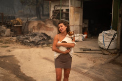 Los incendios forestales que arrasan Espa&ntilde;a tendr&aacute;n un impacto "enorme y descomunal" en la naturaleza, seg&uacute;n ONG