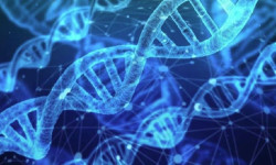 Los ingenieros usan `origami de ADN` para identificar las reglas de dise&ntilde;o de vacunas