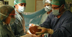 Los investigadores avanzan hacia una alternativa viable al trasplante de &oacute;rganos hep&aacute;ticos
