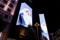 Los obispos españoles premian a Rosalía, por `Lux`, y a Alauda Ruiz de Azúa, por `Los domingos`, con sus Premios ¡Bravo!