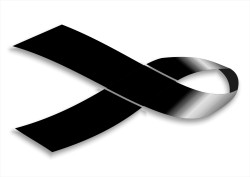 Los PGE para Cantabria me han dejado cara de idiota, por Carlos Magdalena Menchaca