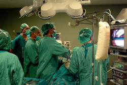 Los trasplantes de &oacute;rganos se redujeron en un tercio en todo el mundo durante la primera oleada de la pandemia