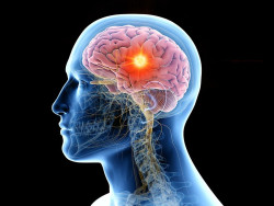 Los tumores cerebrales puede surgir de una lesi&oacute;n no curada adecuadamente, debido a la inflamaci&oacute;n