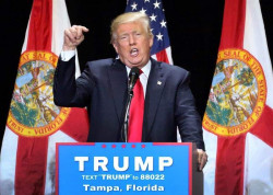 &iquest;Manifestaciones contra Donald Trump?