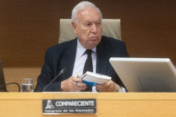 Margallo (PP) propone una moci&oacute;n de censura "constructiva" con un candidato "neutro" que convoque elecciones