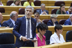 Marlaska, el gran mentiroso que puso protecci&oacute;n  a Leire D&iacute;ez 