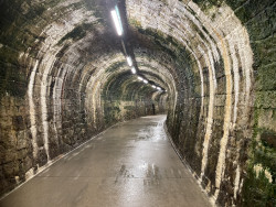 "No sabemos casi nada de lo que va sucediendo".&nbsp;&nbsp; &copy; jmm caminero 