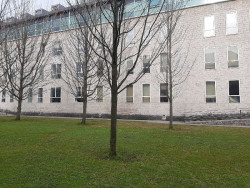 Ocho a&ntilde;os de prisi&oacute;n para un hombre que agredi&oacute; sexualmente a una joven ebria mientras dorm&iacute;a