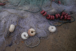 ONG denuncia la pesca ilegal con redes en el Mediterr&aacute;neo e identifica 843 embarcaciones en puertos marroqu&iacute;es