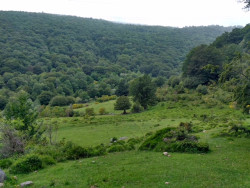 Persecuci&oacute;n a la fauna salvaje en pleno boom Ecotur&iacute;stico mundial