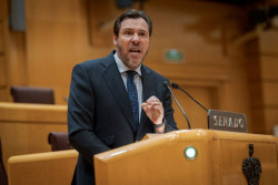 Puente, al PP: "Me piden la dimisi&oacute;n porque les molesta que haga muy bien mi trabajo"