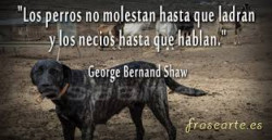 Refranero y pol&iacute;tica