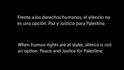 S&aacute;nchez manda emitir en RTVE un mensaje de apoyo a Gaza antes de la final de Eurovisi&oacute;n