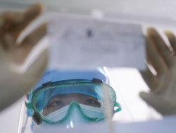 Sanidad registra ocho muertes y 191 contagios en 24 horas