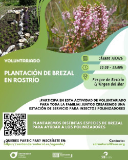 Santander Capital Natural organiza la plantaci&oacute;n de un brezal en el Rostr&iacute;o
