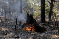 Se rebaja la amenaza en los incendios de Madrid, a&uacute;n no controlados pero se prev&eacute; agravamiento de condiciones clim&aacute;ticas