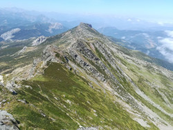 SEO/Birdlife ve "inviable" la carretera Reinosa-Potes: Amenaza un corredor ambiental de alto valor