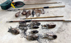 Sorprendidos cuatro pescadores furtivos con 12 cachones y cuatro cabrachos