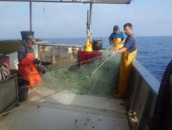  Sr. Revilla &iexcl;eche el trasmallo en Catalu&ntilde;a!